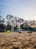 A cricket bat and a tennis ball are on a dirt pitch with wickets in the background. The scene is set outdoors, surrounded by trees under a clear sky.