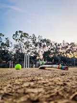 A cricket bat and a tennis ball are on a dirt pitch with wickets in the background. The scene is set outdoors, surrounded by trees under a clear sky.
