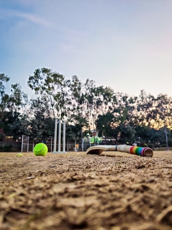 A cricket bat and a tennis ball are on a dirt pitch with wickets in the background. The scene is set outdoors, surrounded by trees under a clear sky.