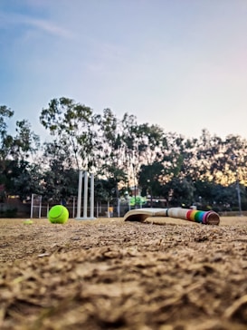 A cricket bat and a tennis ball are on a dirt pitch with wickets in the background. The scene is set outdoors, surrounded by trees under a clear sky.