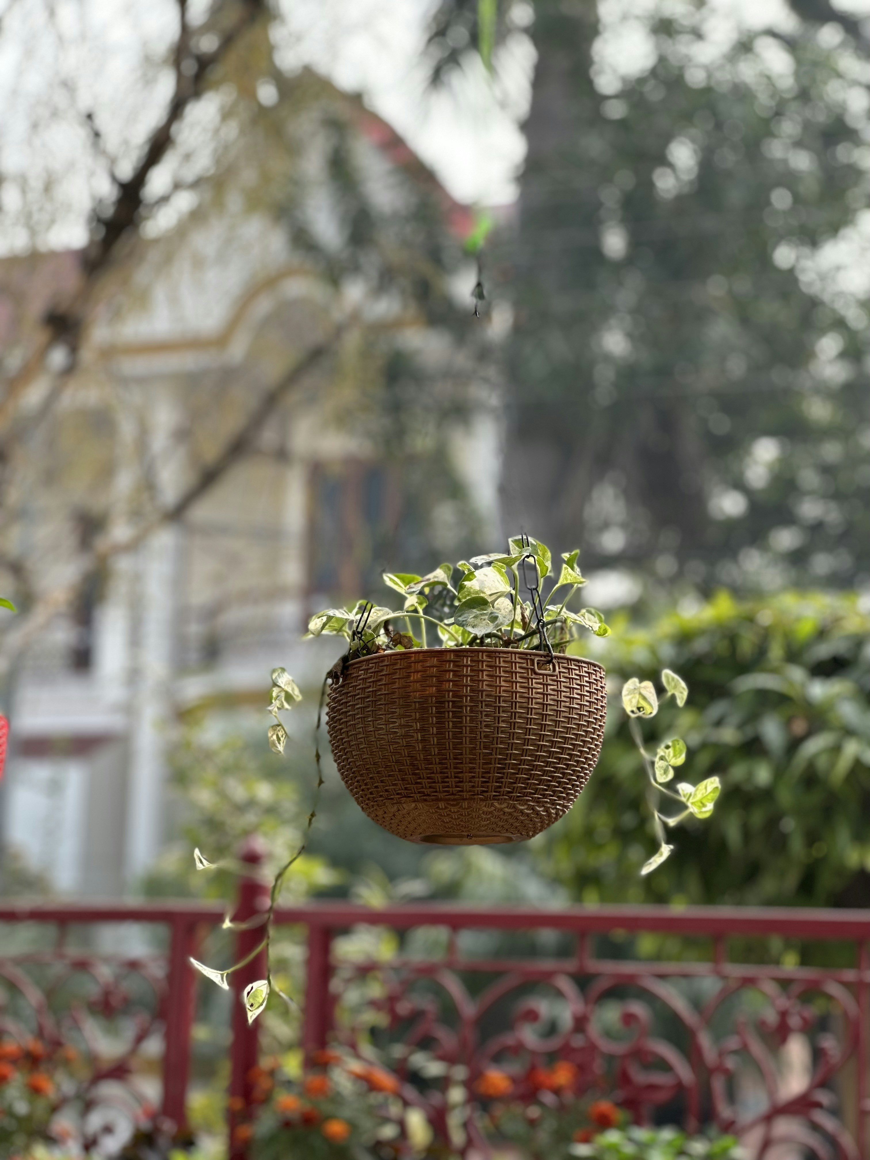 a planter hanging from a red iron fence