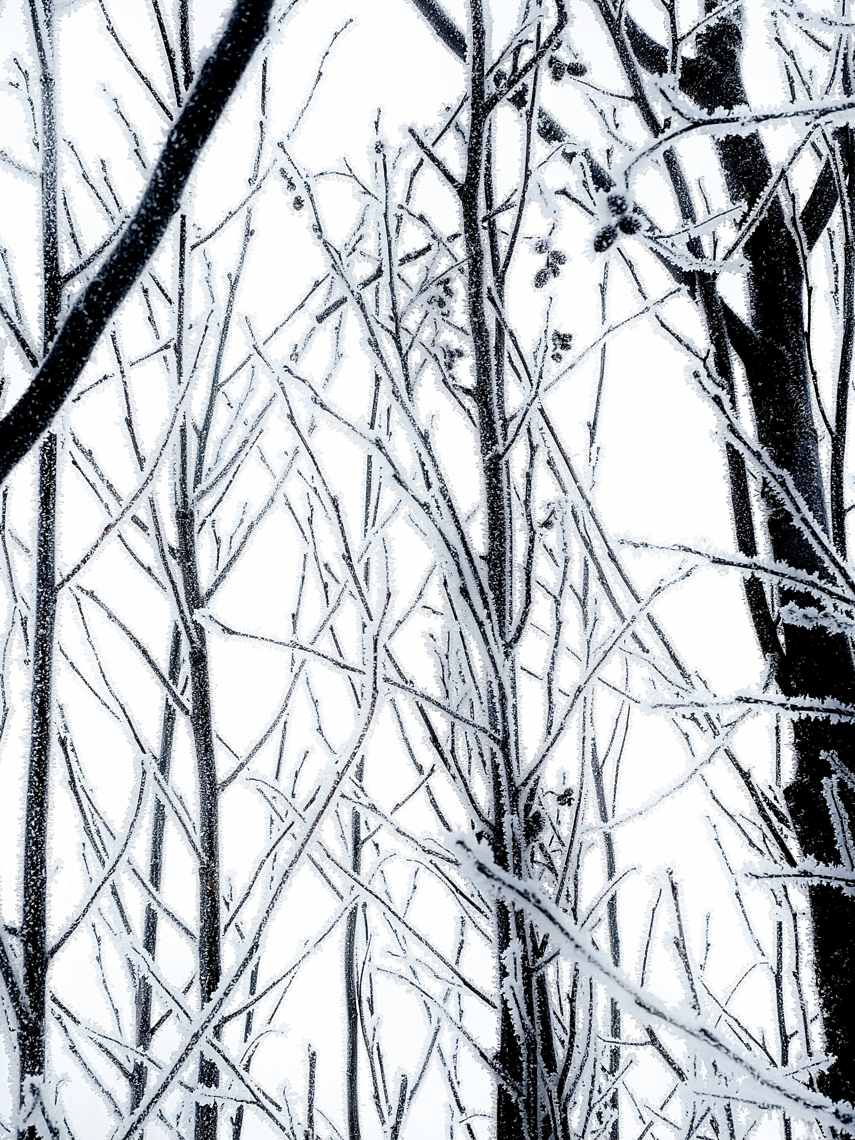 Photo by eugene_golovesov