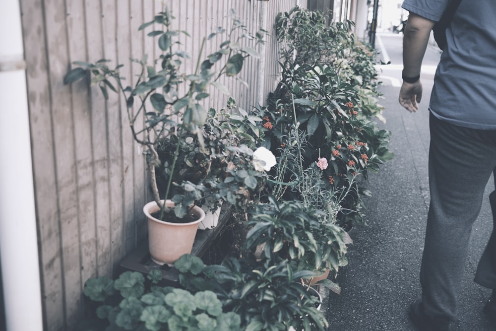 a man walking down a street next to a bunch of potted plants