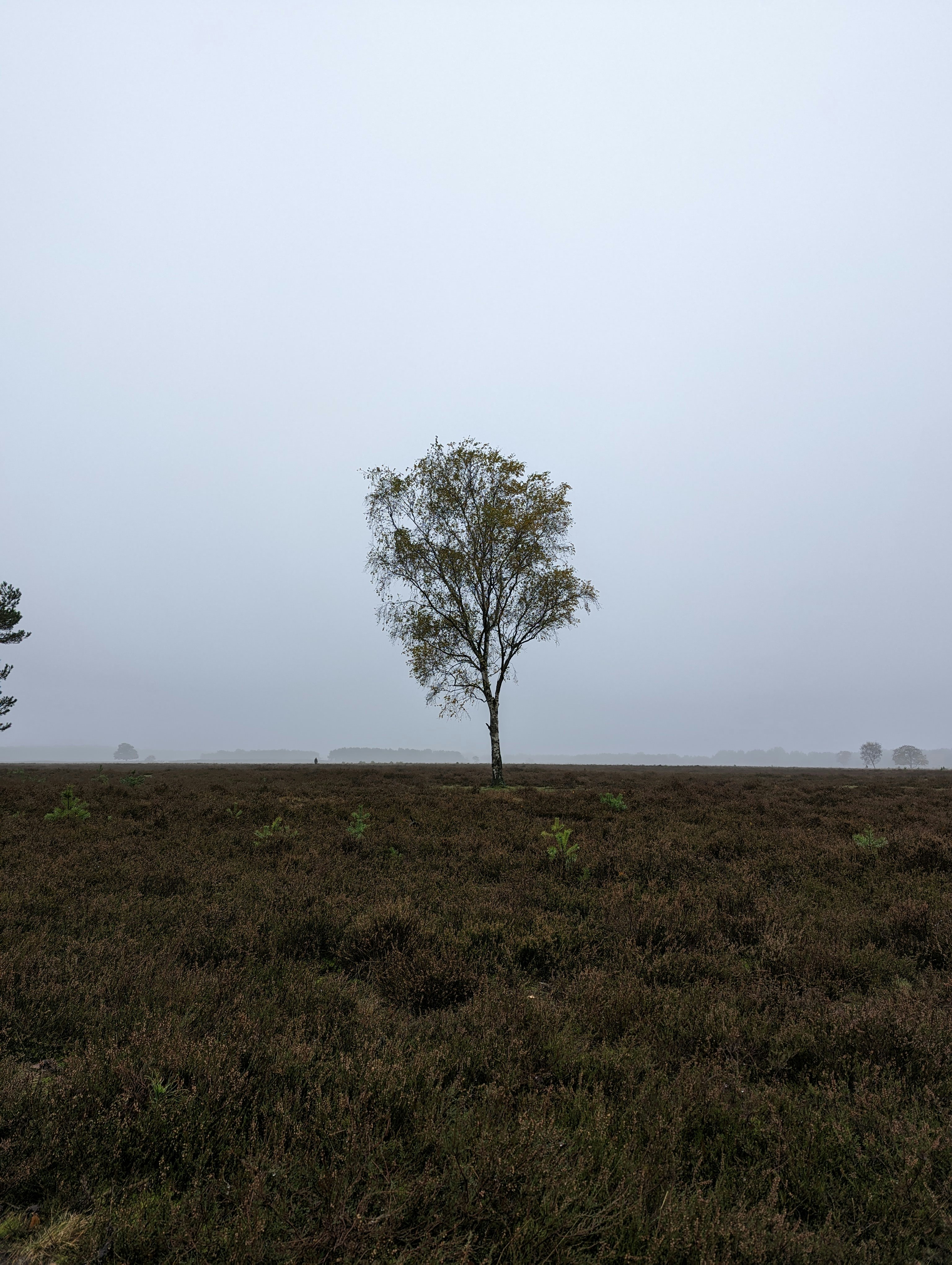 Photo by smart_picturechris