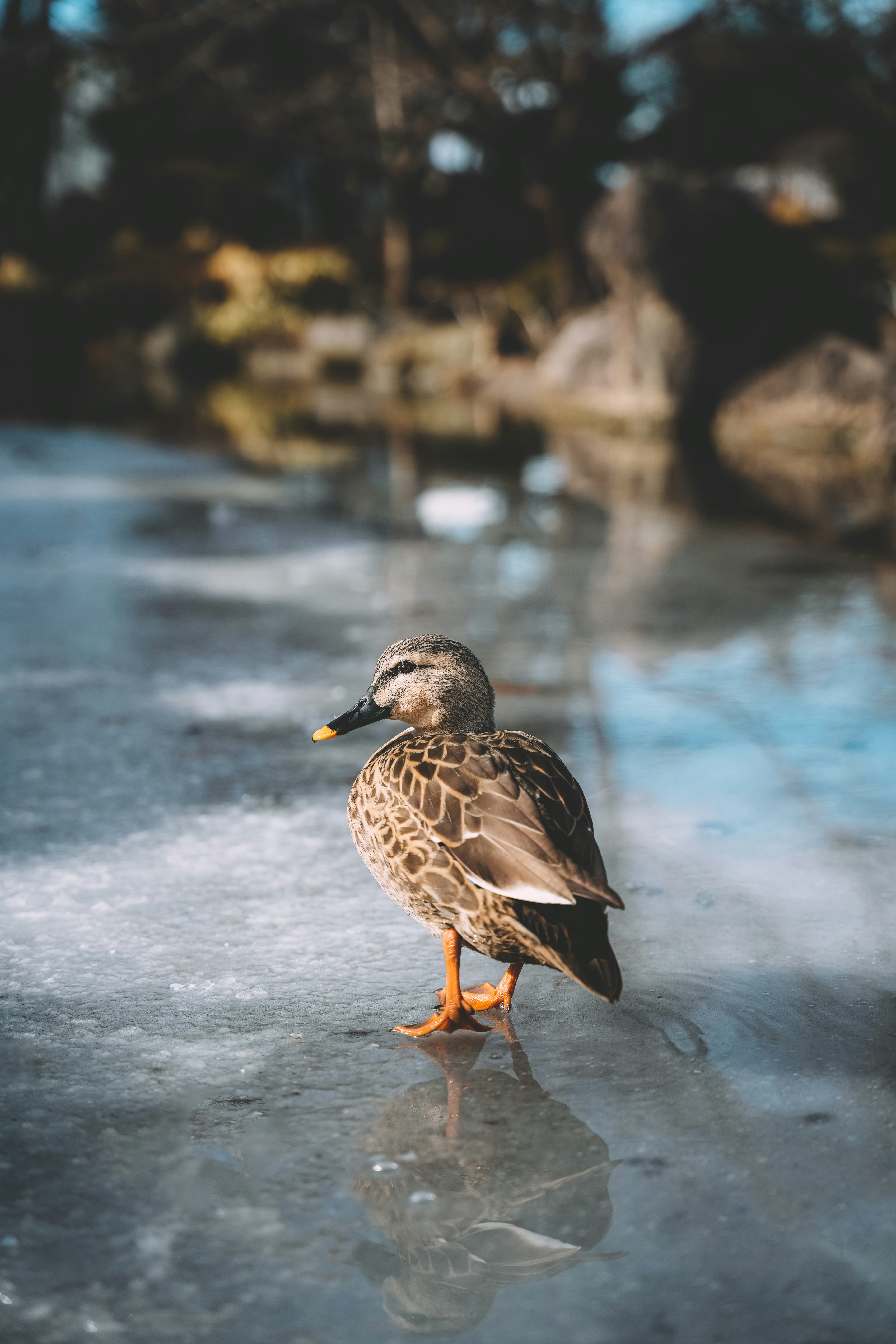 Photo by cosmonaut647