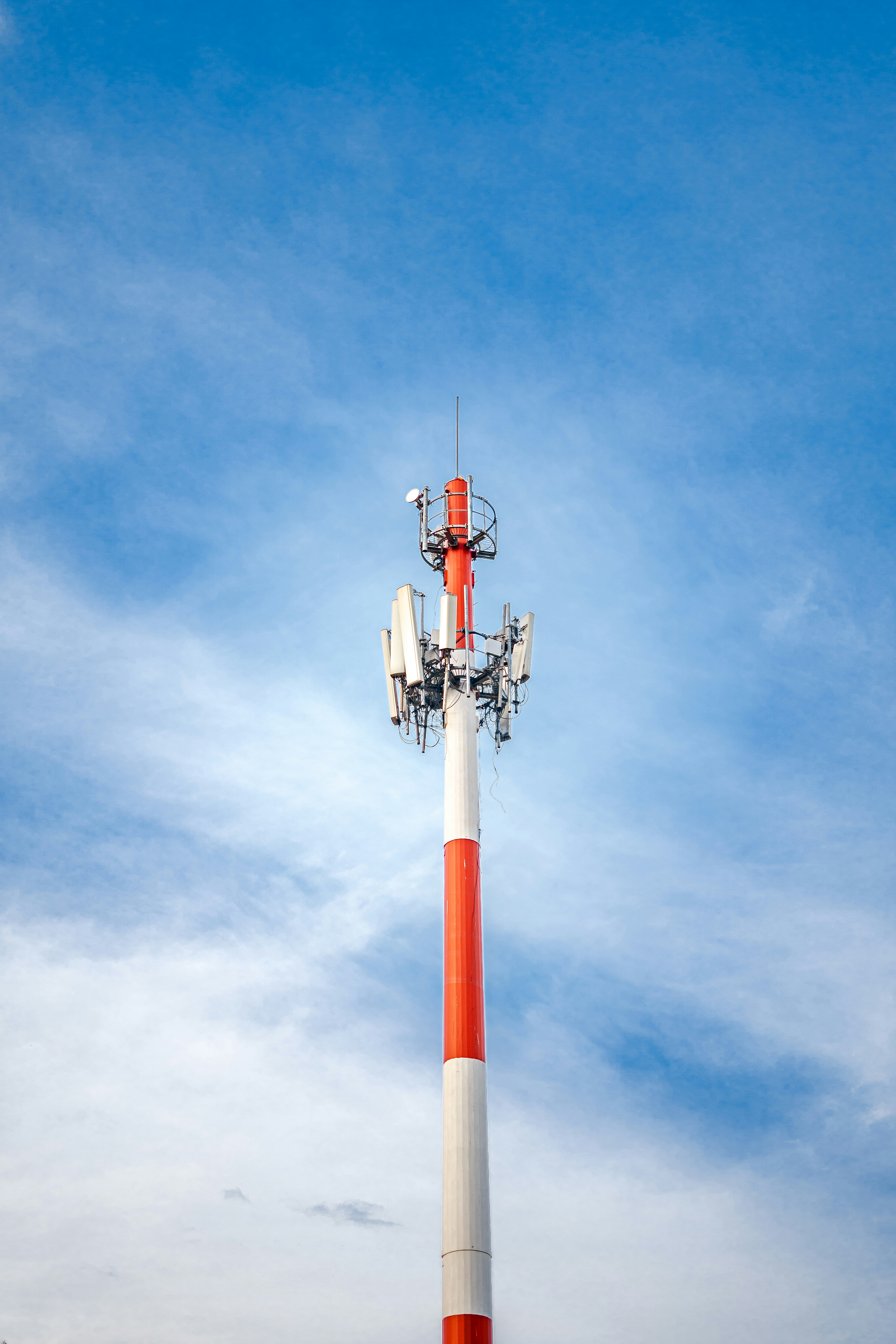 Photo by gullin_omer