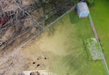 An aerial view of a fenced backyard featuring a green lawn with a rectangular patch of bare soil or dead grass. In the upper corner, there is a small blue shed with a gray roof. A blooming garden with white flowers is visible near the bottom corner. Bare branches spread across the soil on one side, creating a shadow pattern.