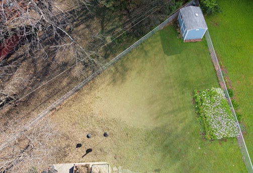 An aerial view of a fenced backyard featuring a green lawn with a rectangular patch of bare soil or dead grass. In the upper corner, there is a small blue shed with a gray roof. A blooming garden with white flowers is visible near the bottom corner. Bare branches spread across the soil on one side, creating a shadow pattern.