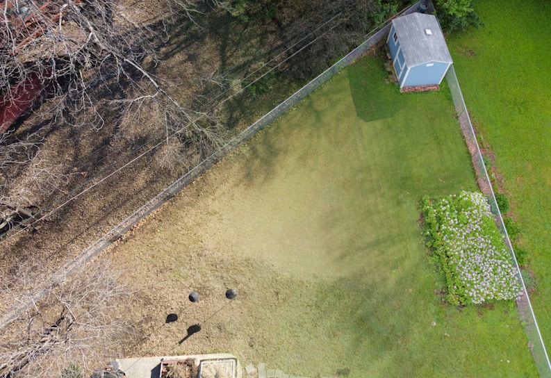 An aerial view of a fenced backyard featuring a green lawn with a rectangular patch of bare soil or dead grass. In the upper corner, there is a small blue shed with a gray roof. A blooming garden with white flowers is visible near the bottom corner. Bare branches spread across the soil on one side, creating a shadow pattern.
