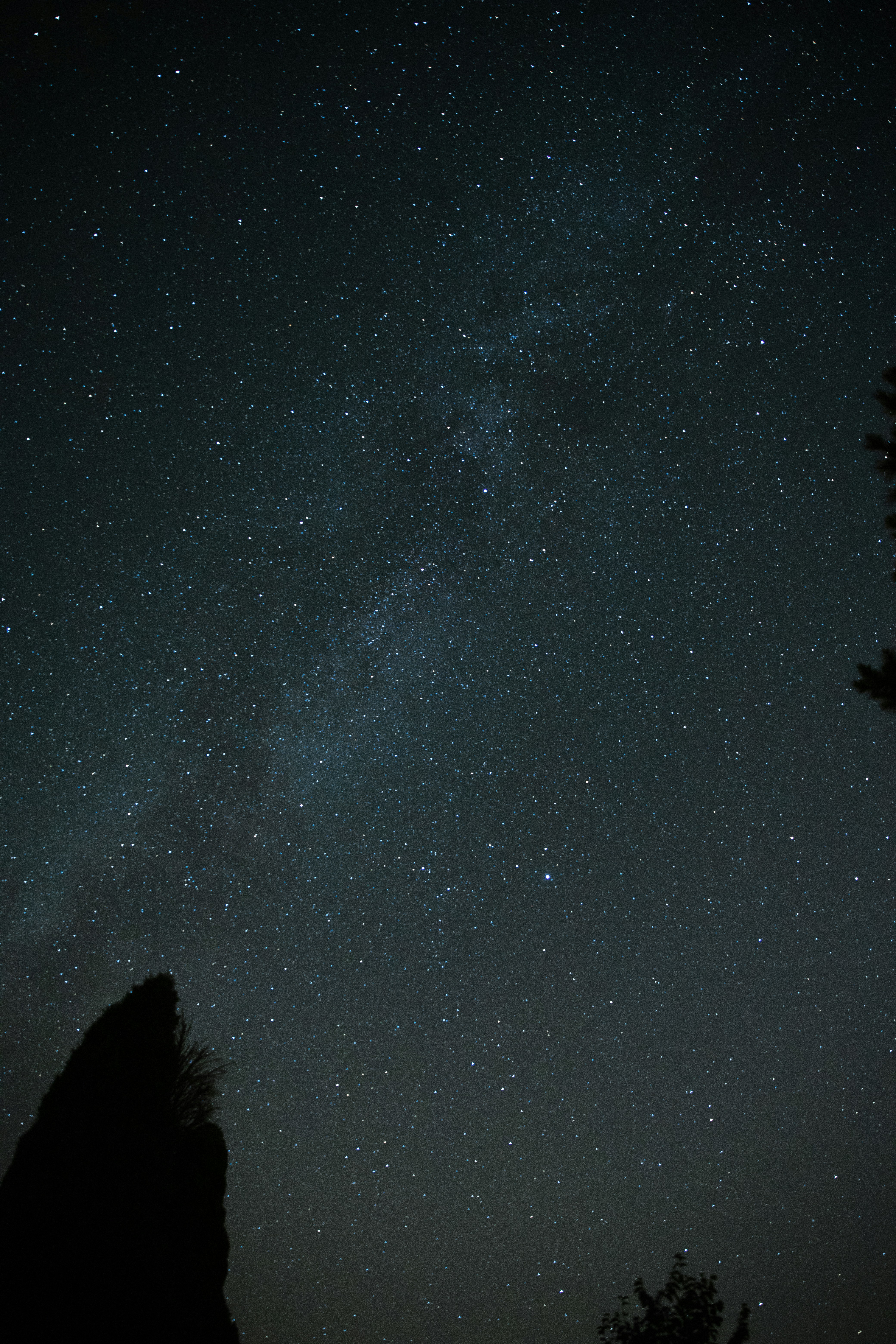 Photo by andreaferrario