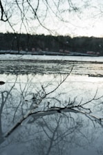 A calming scene that represents mindfulness and focus.
