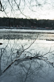 A calming scene that represents mindfulness and focus.