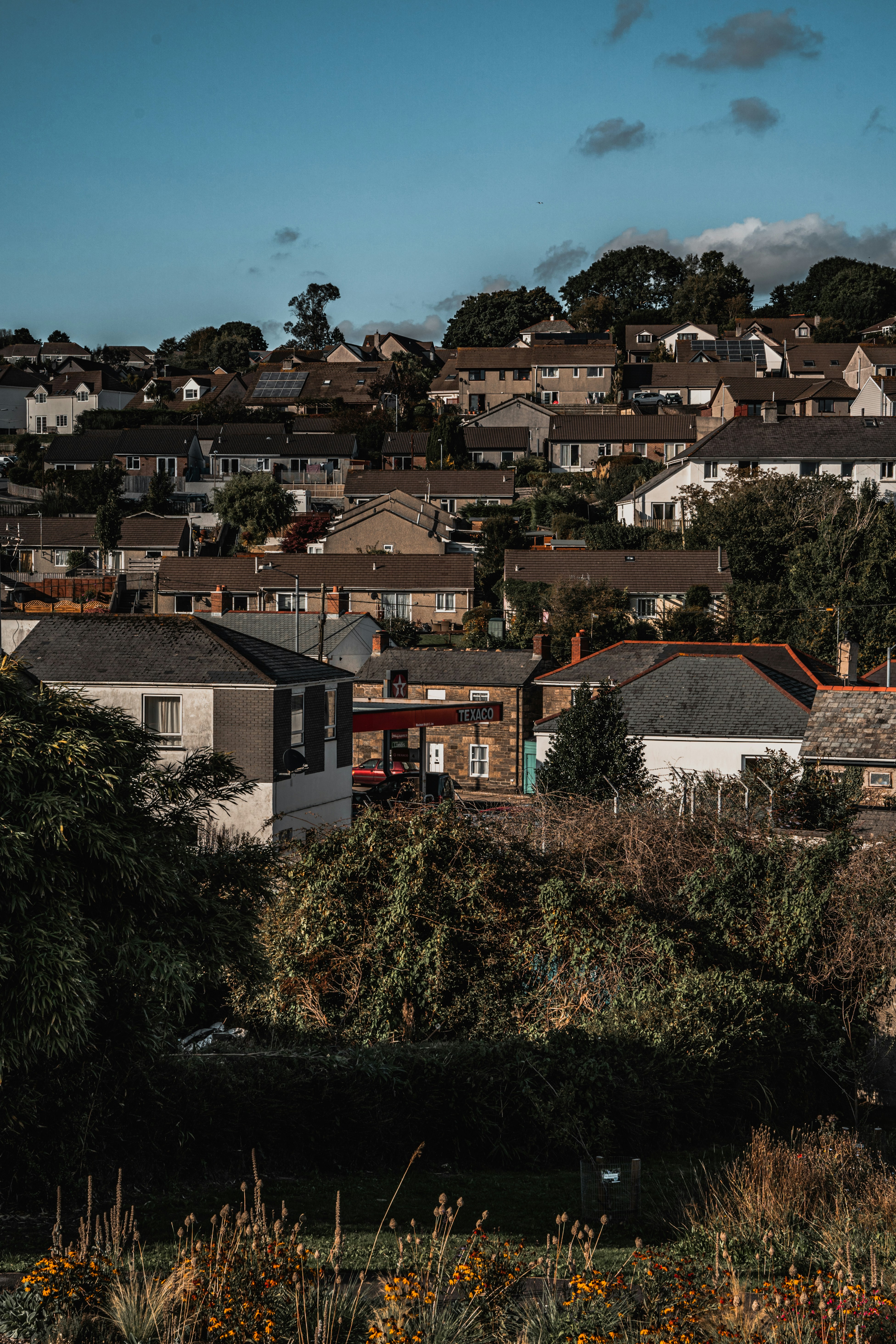 Photo by winstontjia