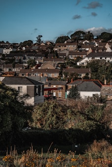 A residential area with numerous houses surrounded by lush greenery. The homes are mostly single-story, with a few two-story buildings. Trees are scattered around the area, and the sky is a clear blue with some clouds. In the center, there's a small gas station with a Texaco sign.