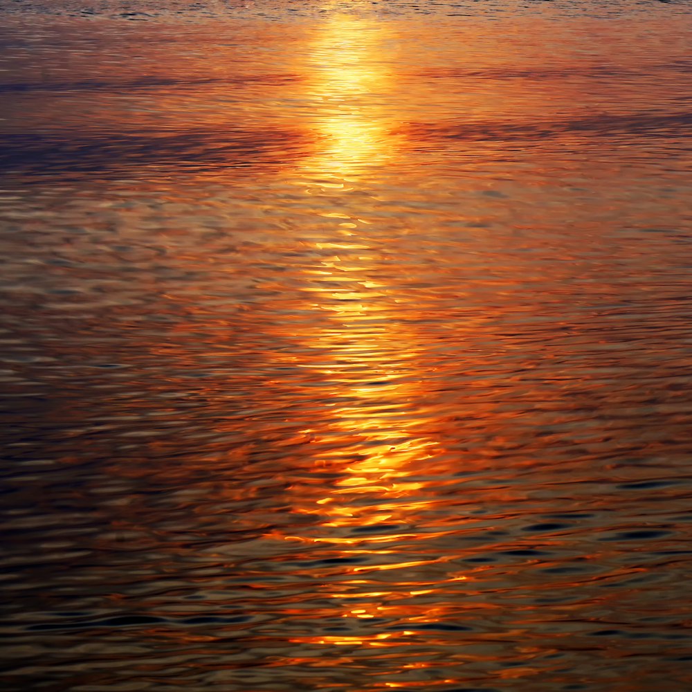 a large body of water with a sunset in the background