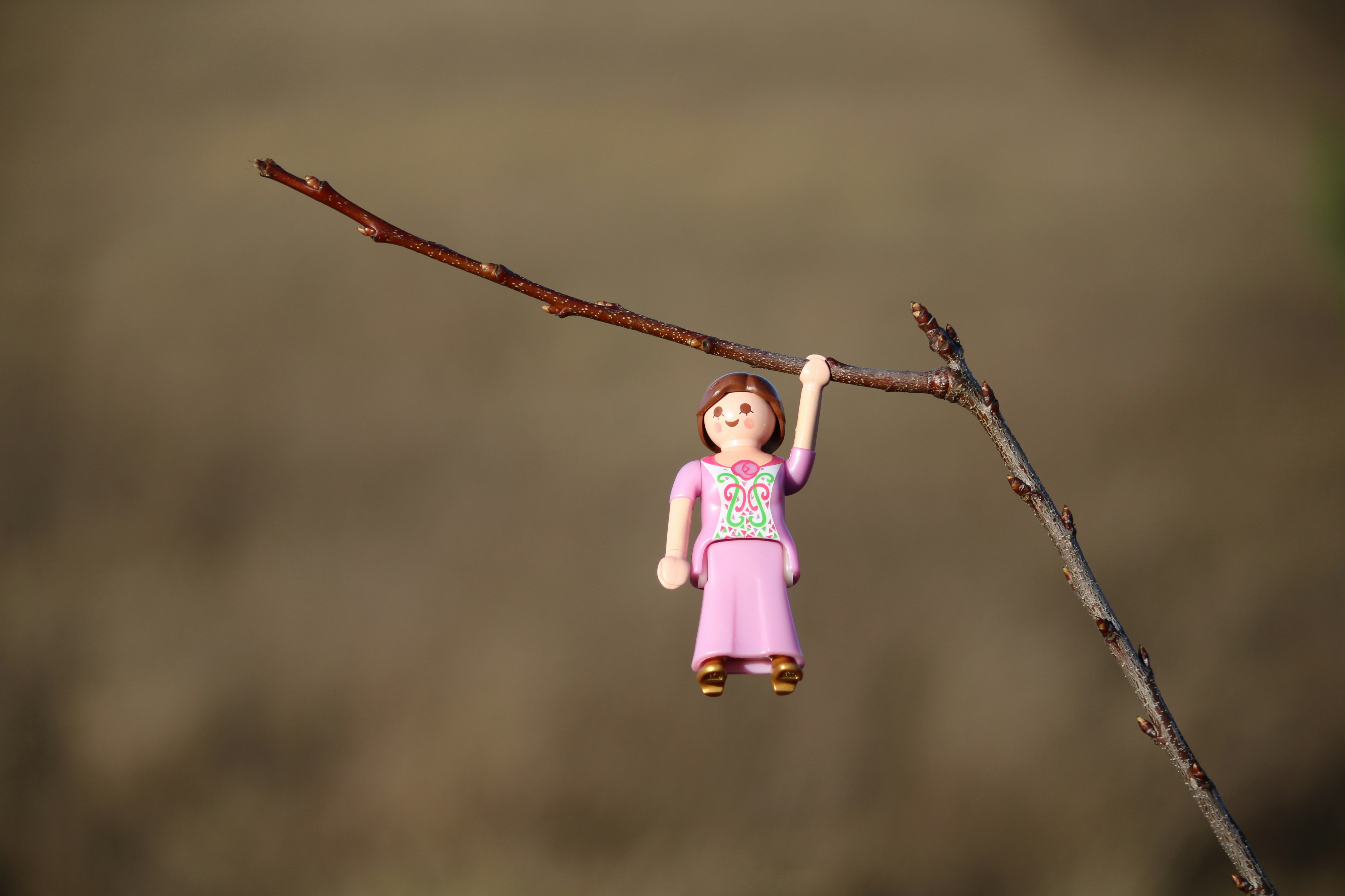 Photo by igorfilipnata