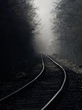 a train track in the middle of a foggy forest