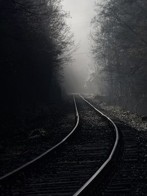 a train track in the middle of a foggy forest