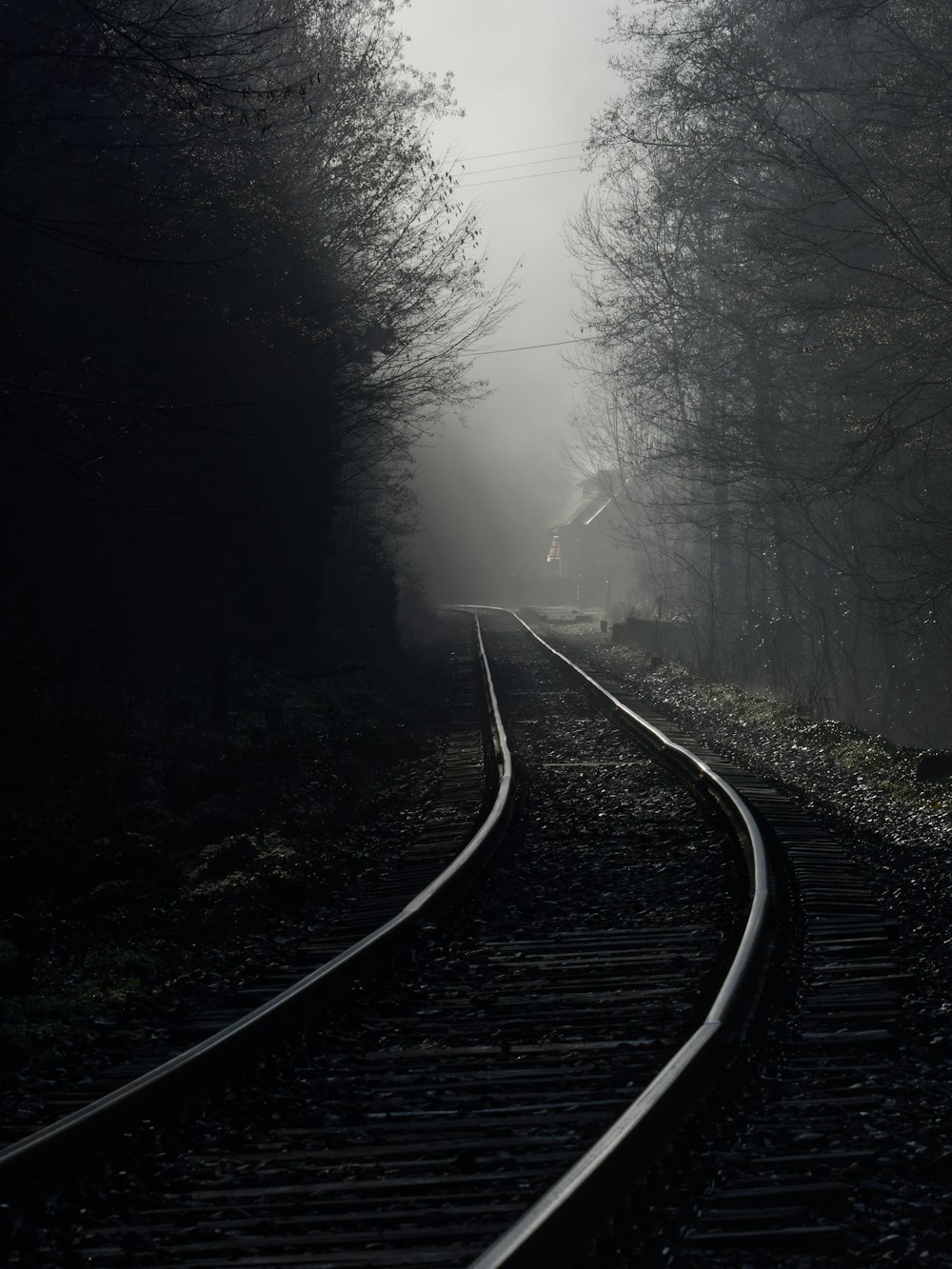 a train track in the middle of a foggy forest