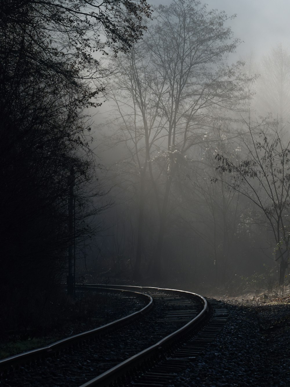 a train track in the middle of a foggy forest