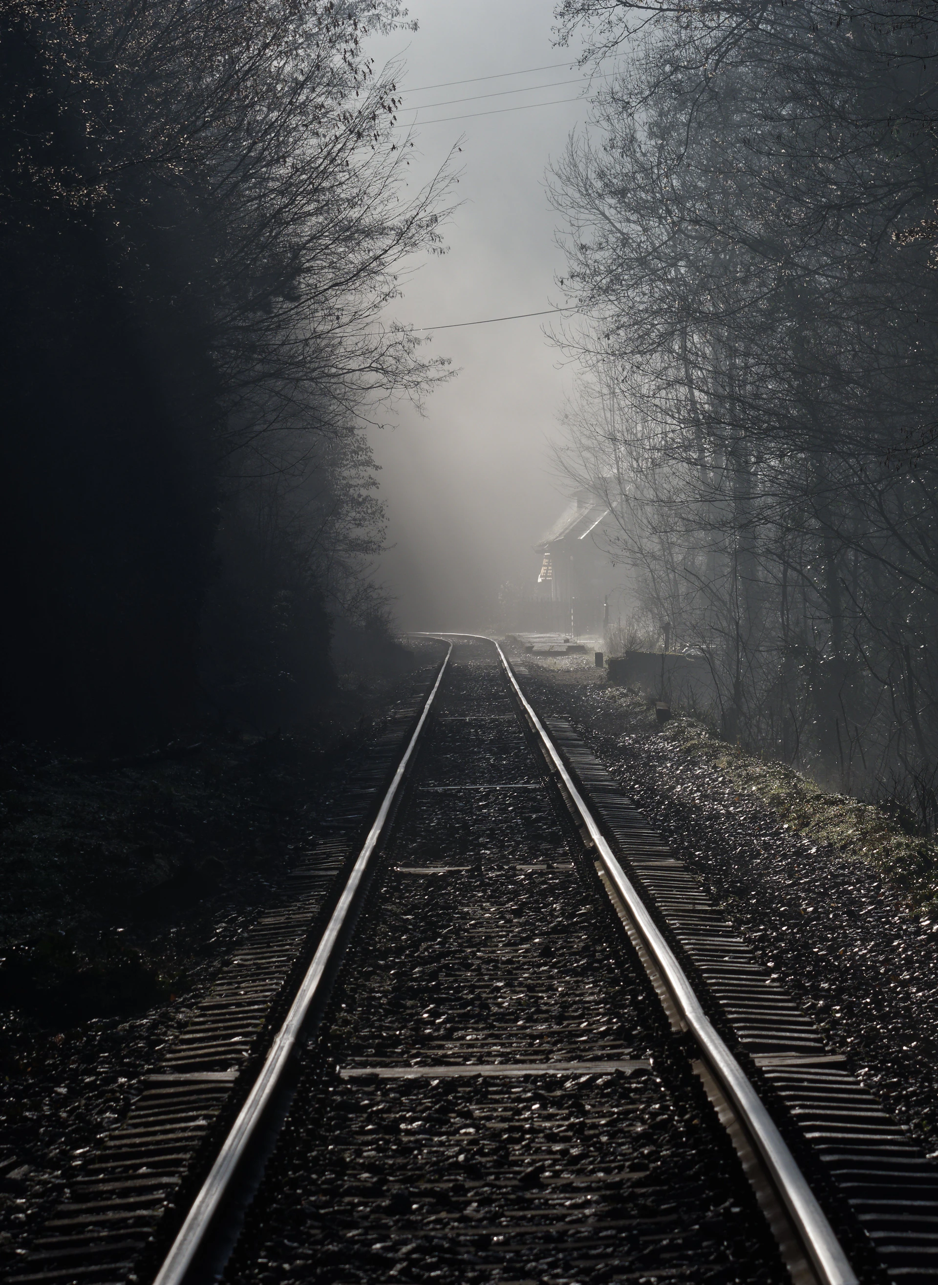 a train track in the middle of a foggy forest