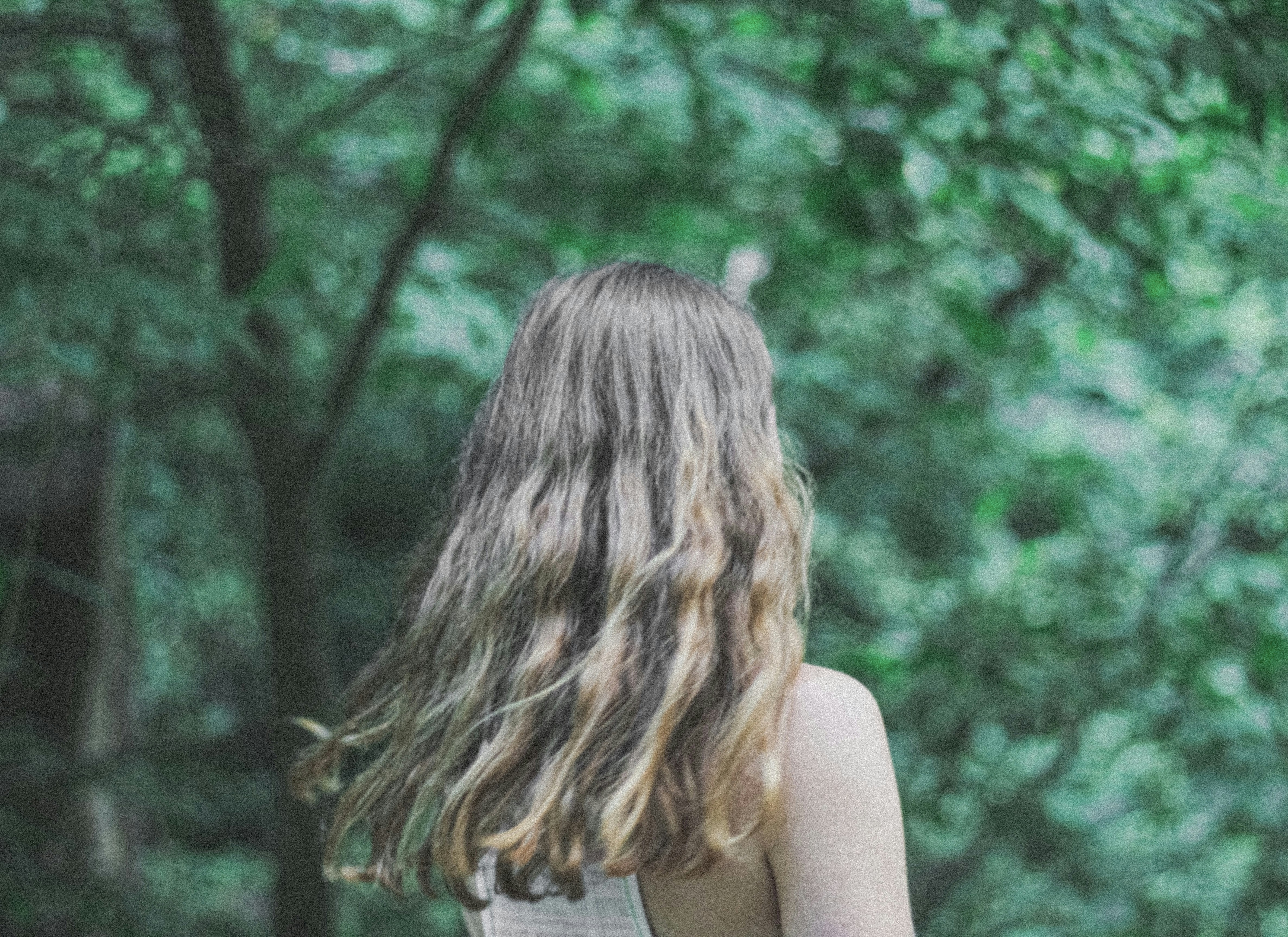 Photo by alexmgossett