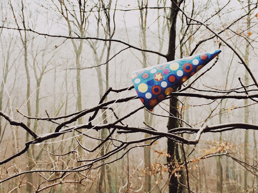 a colorful hat stuck on a tree branch