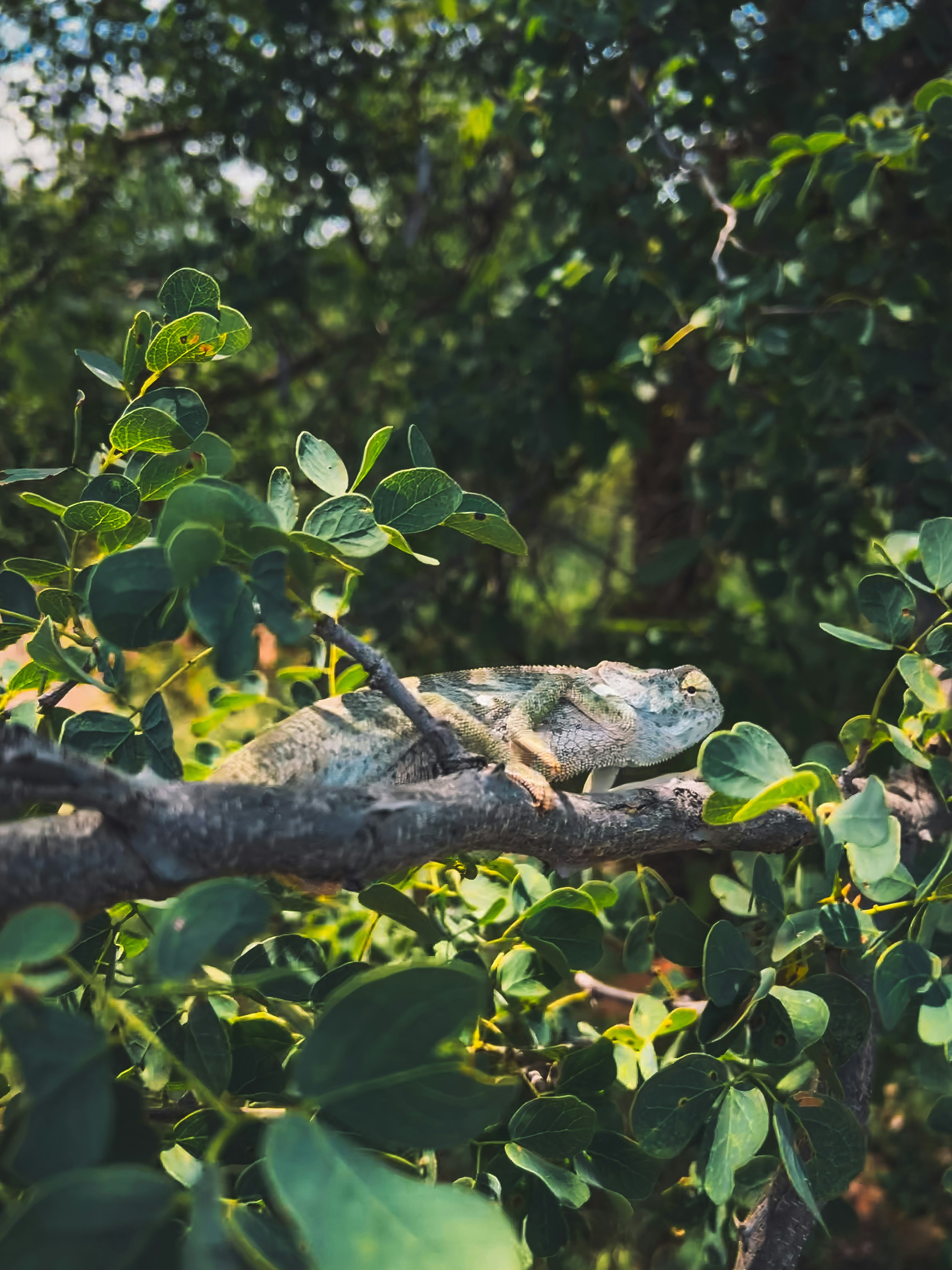 Photo by bernardlammerding