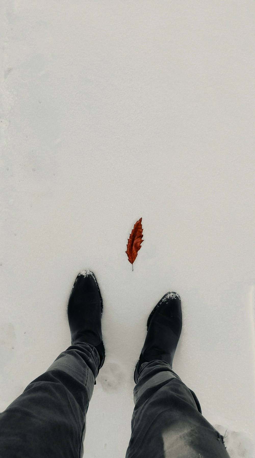 a person standing in the snow next to a leaf