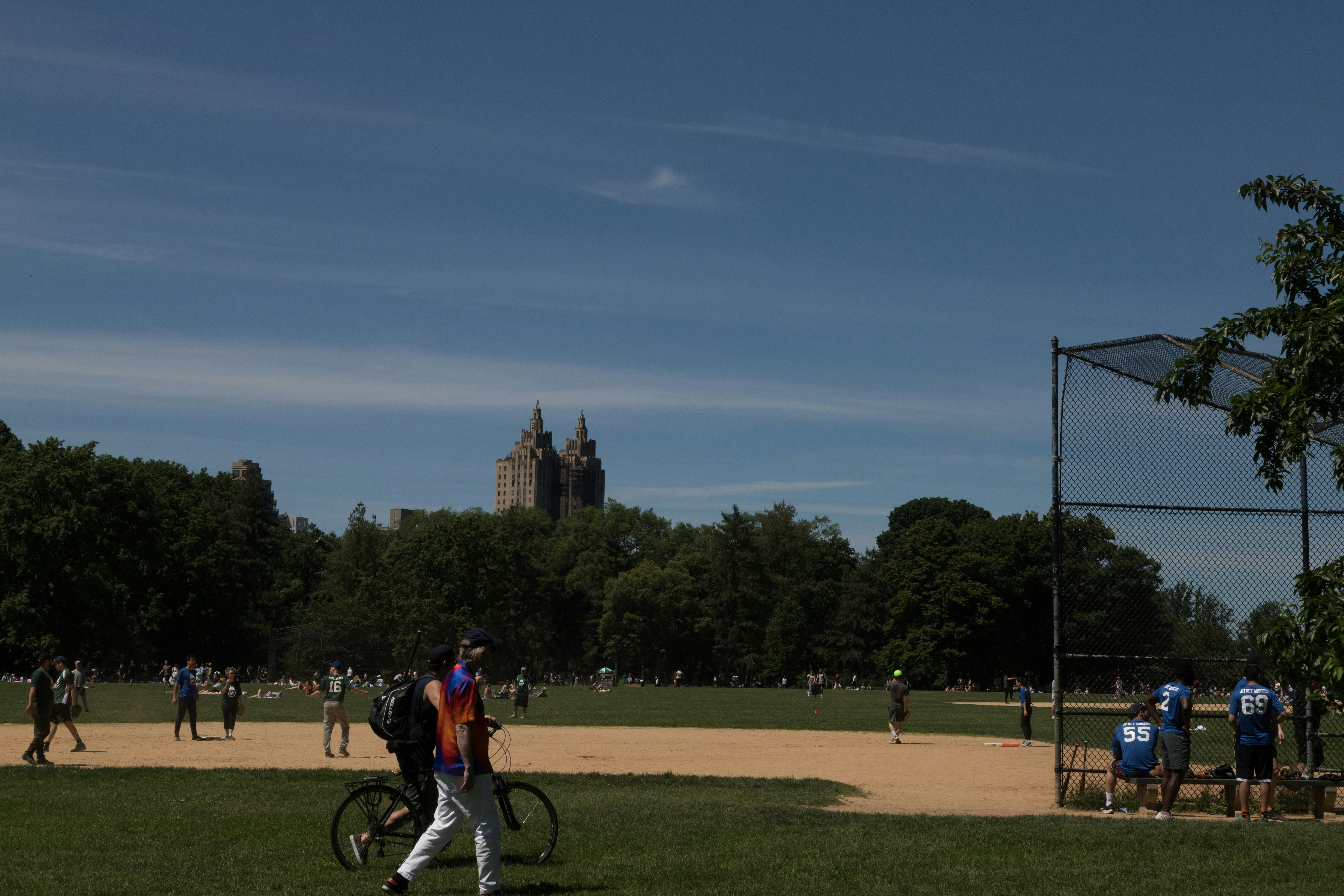 Downing Park;Downing Ball Park