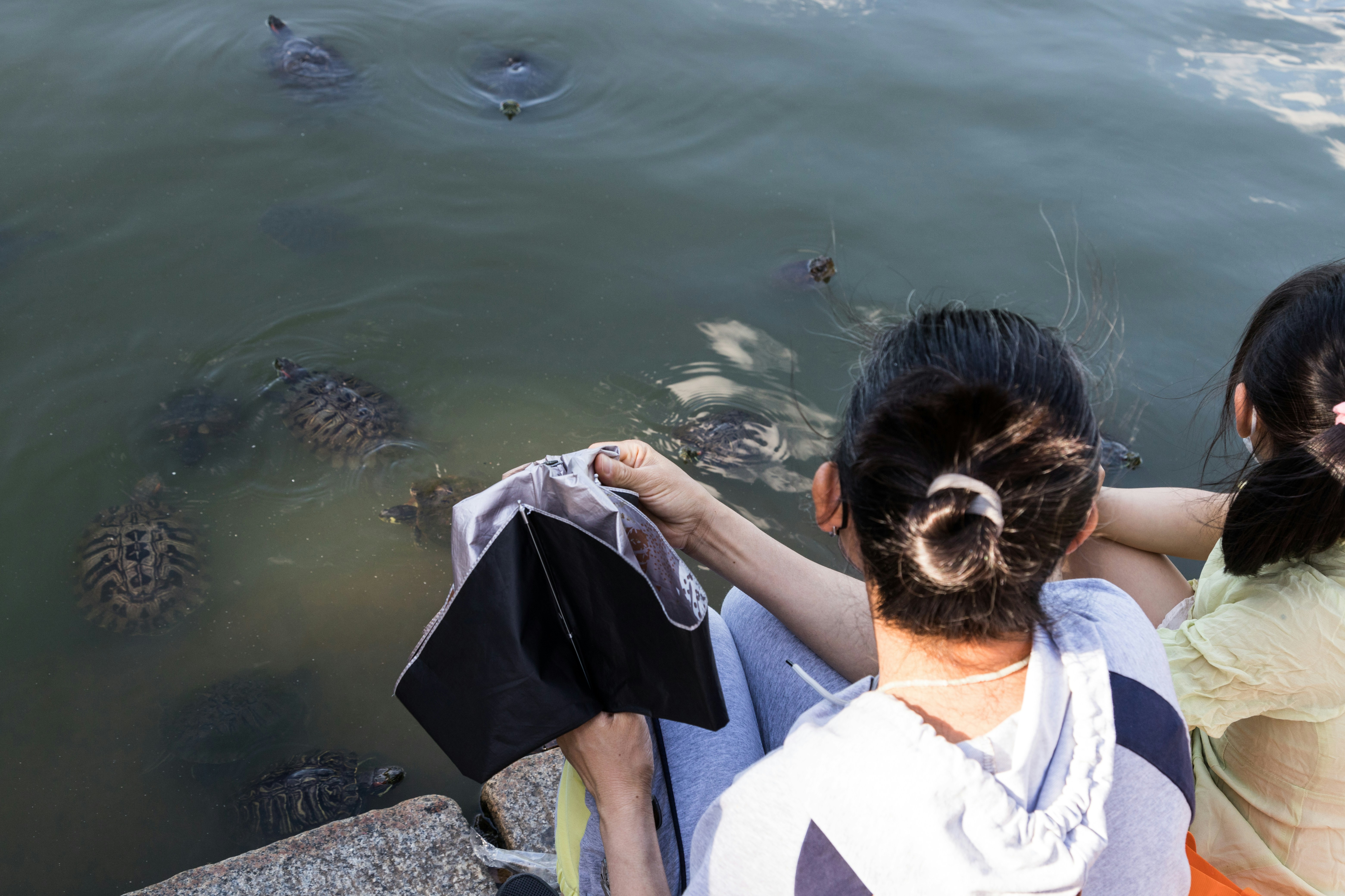 A couple of people sitting next to a body of water photo – Free New ...