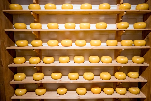 Several neatly arranged wheels of cheese rest on multiple wooden shelves, creating a symmetrical and organized display. The cheeses are uniform in shape and have a smooth, glossy surface, suggesting they are well-cared for.