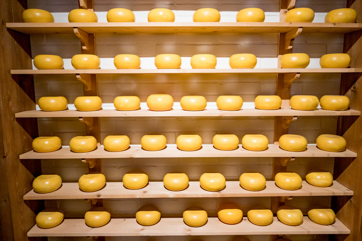 Il martelletto del casaro: come si "ascolta" una forma di formaggio