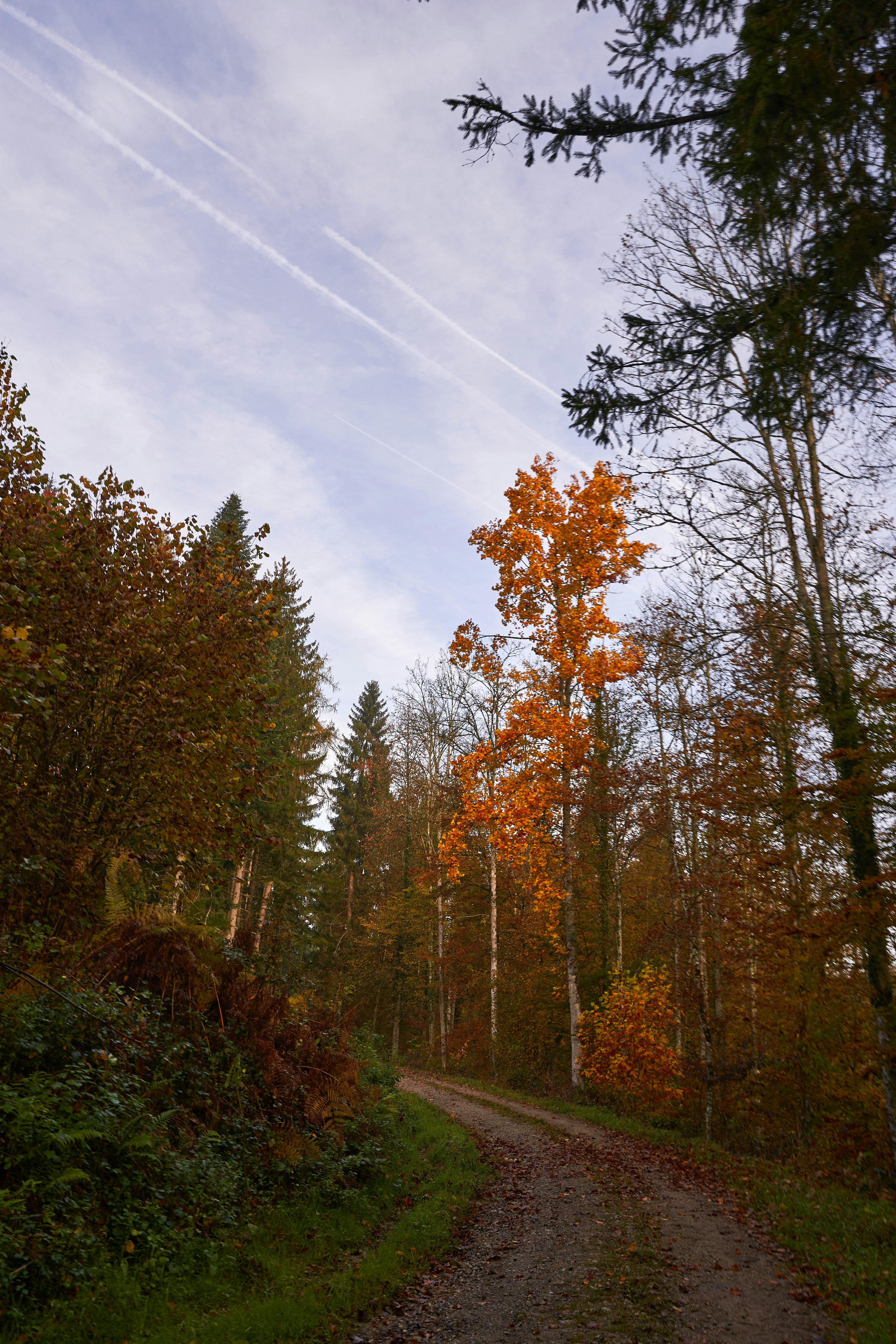 Photo by wolfgang_hasselmann