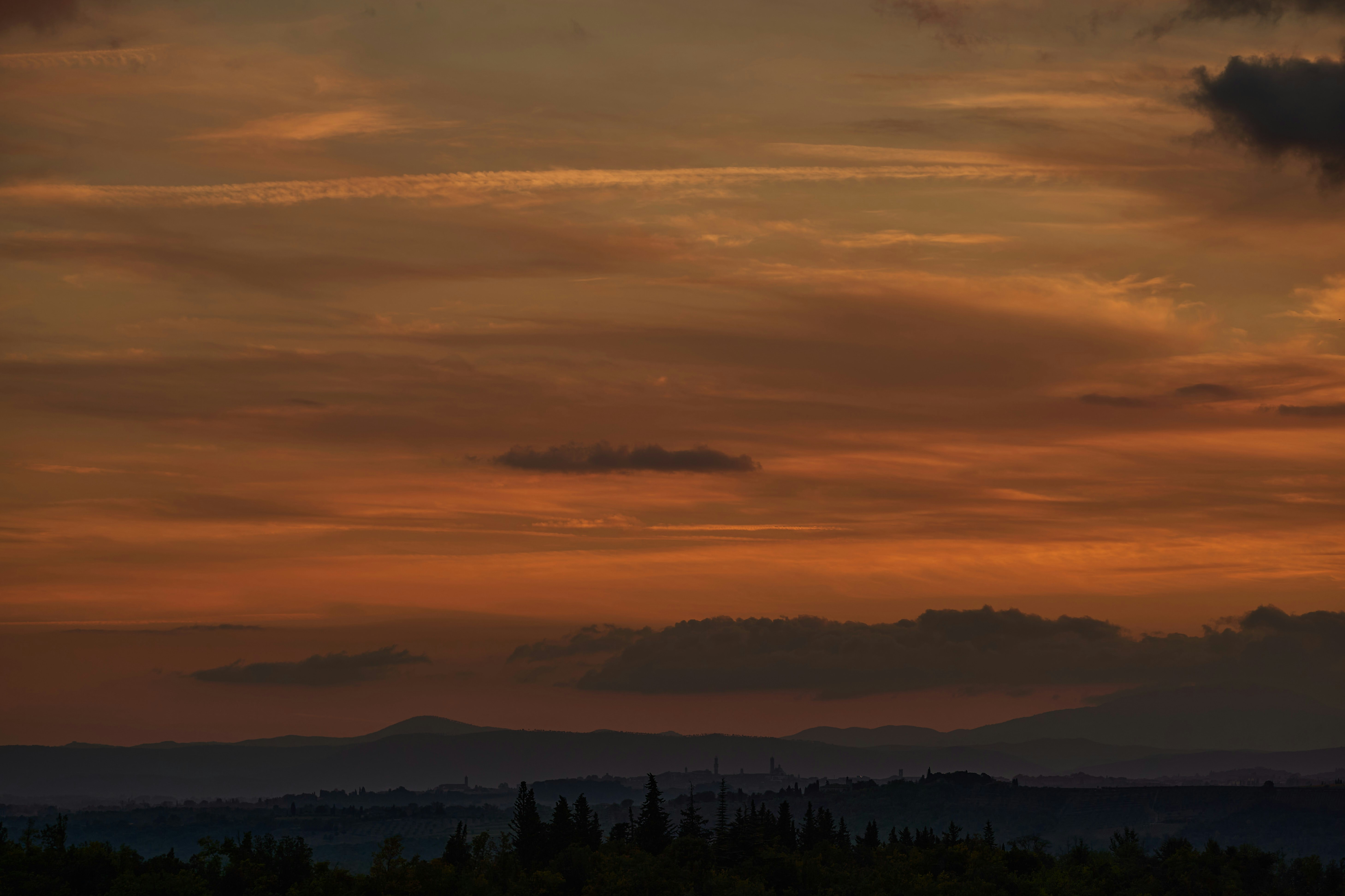 Photo by wolfgang_hasselmann