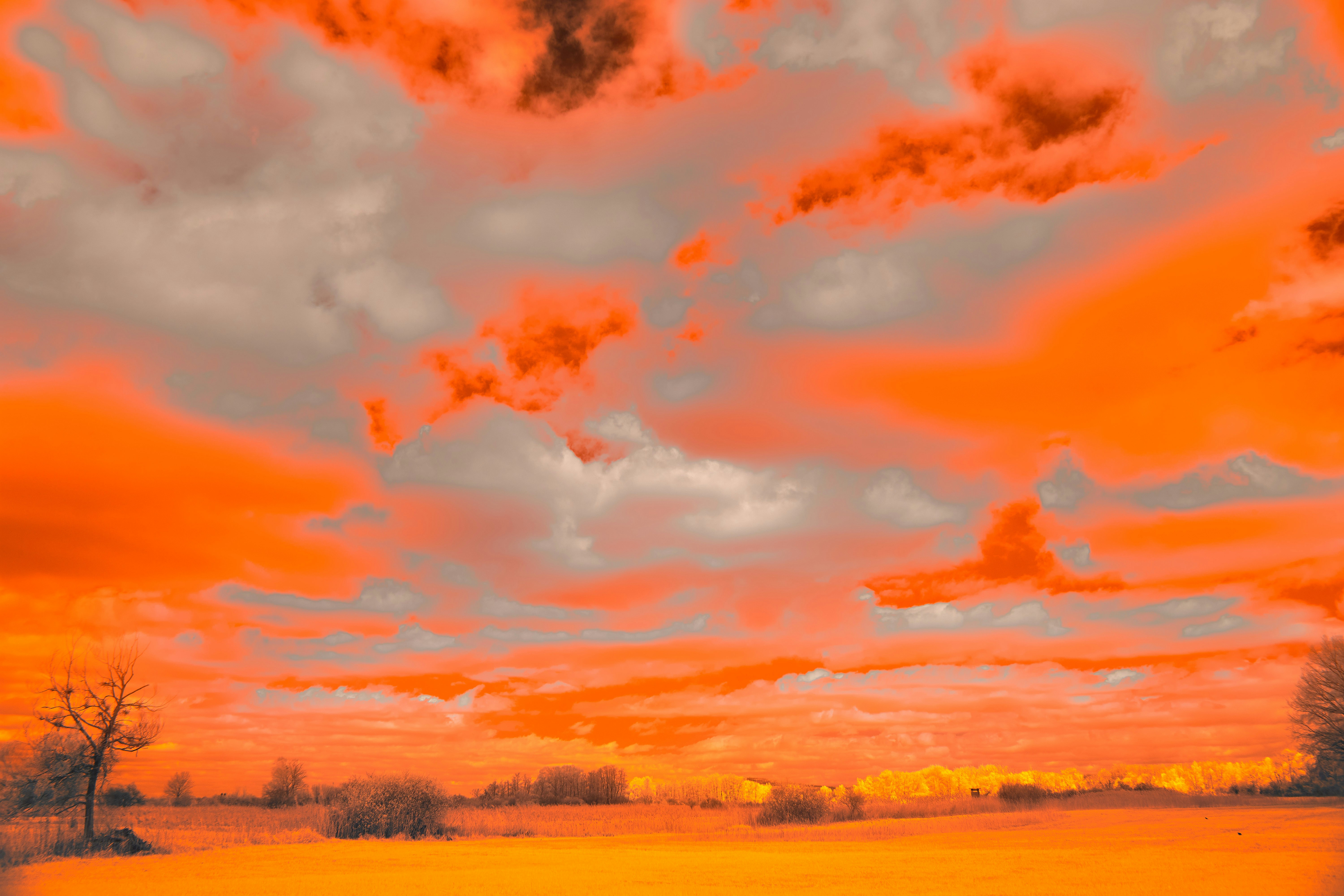 Photo by wolfgang_hasselmann