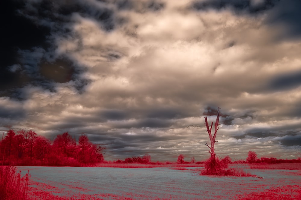 a red and black photo of a cloudy sky