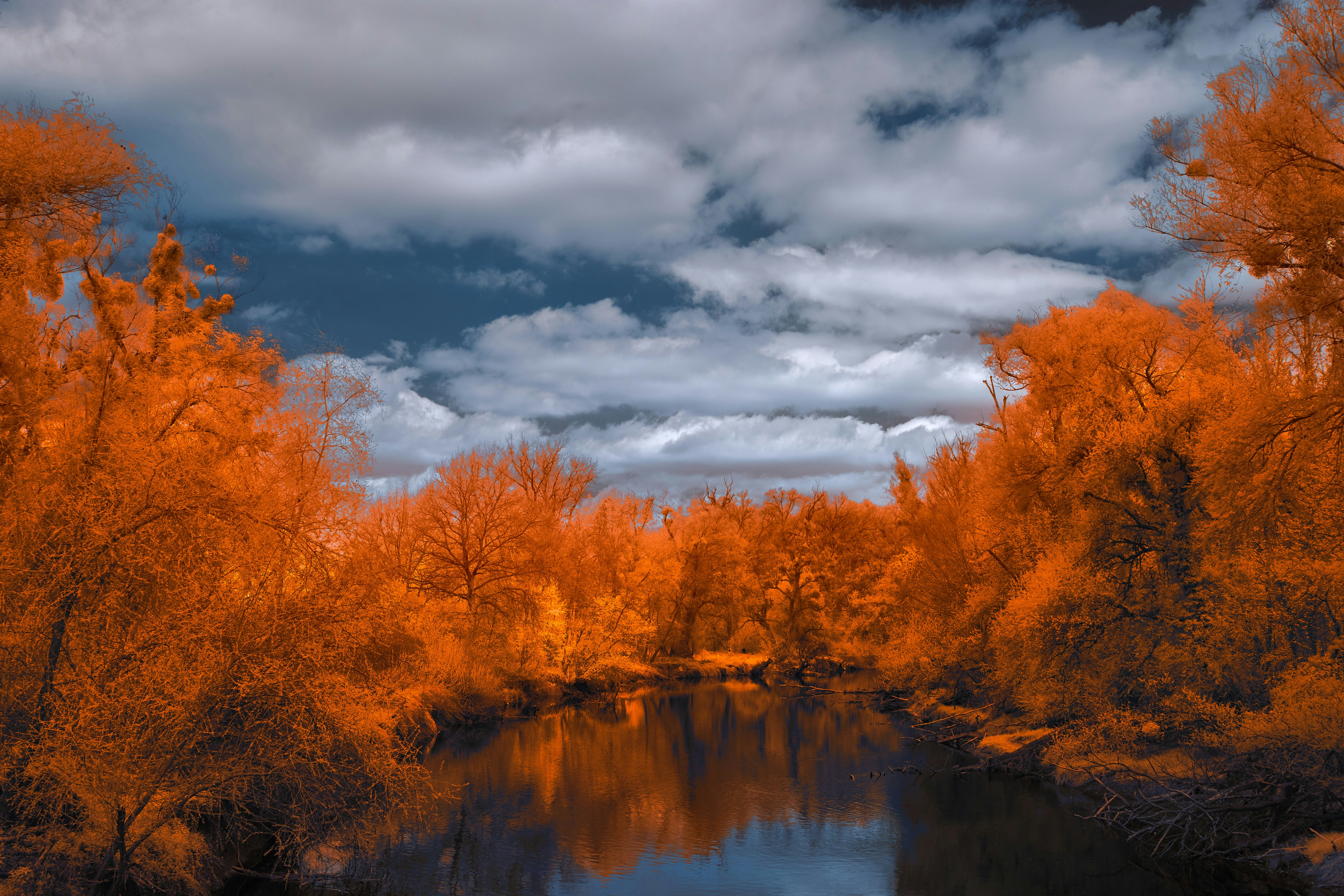 Photo by wolfgang_hasselmann