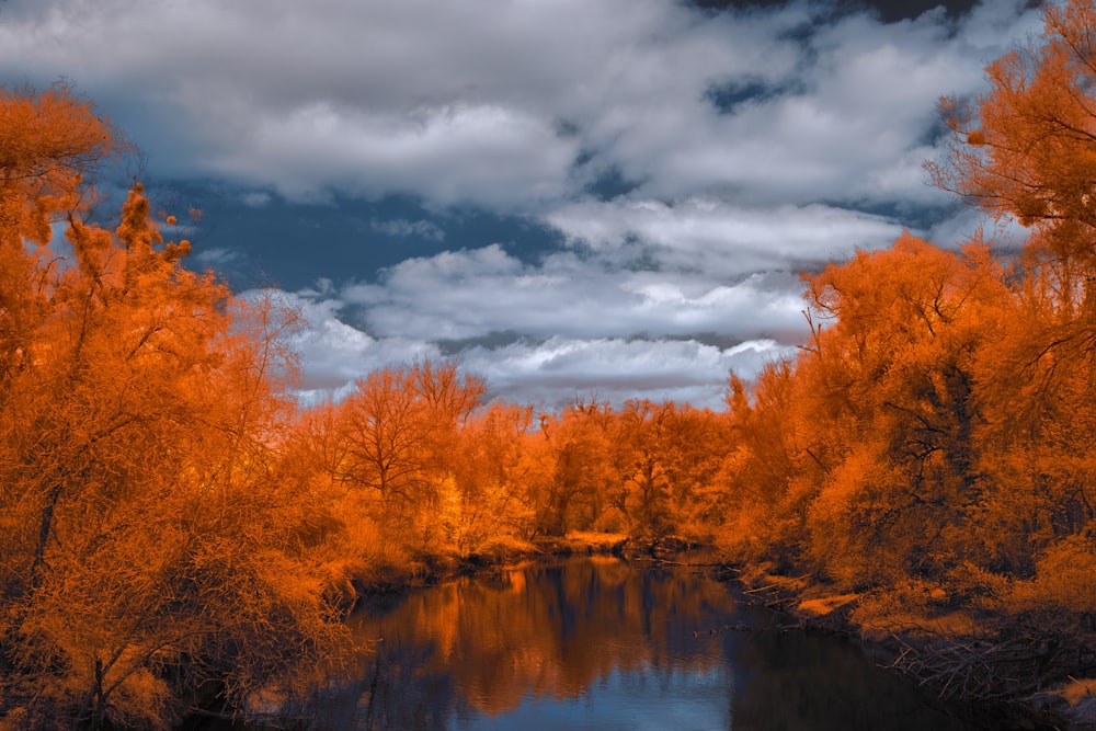 a river surrounded by trees with orange leaves