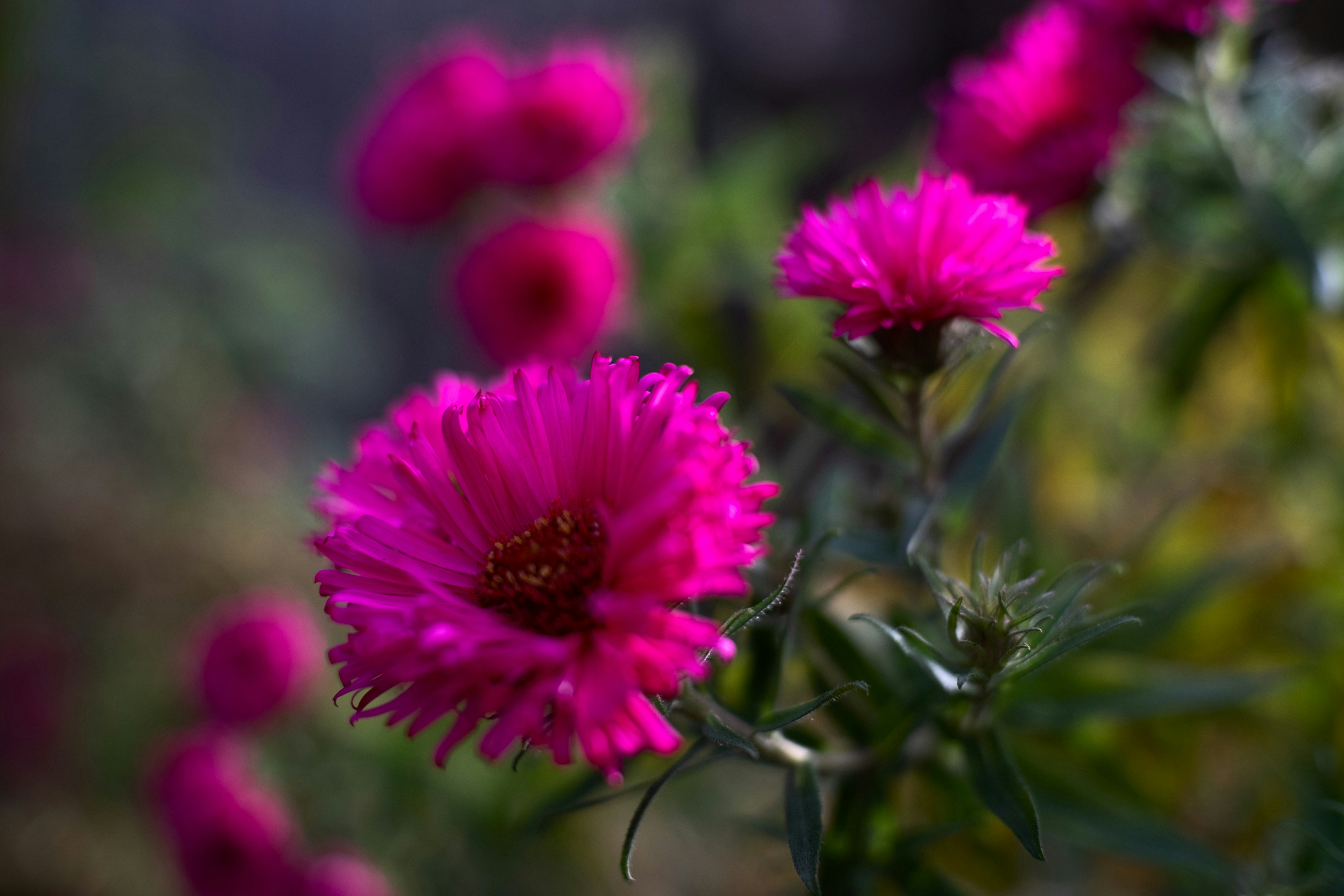 Photo by sevencolors