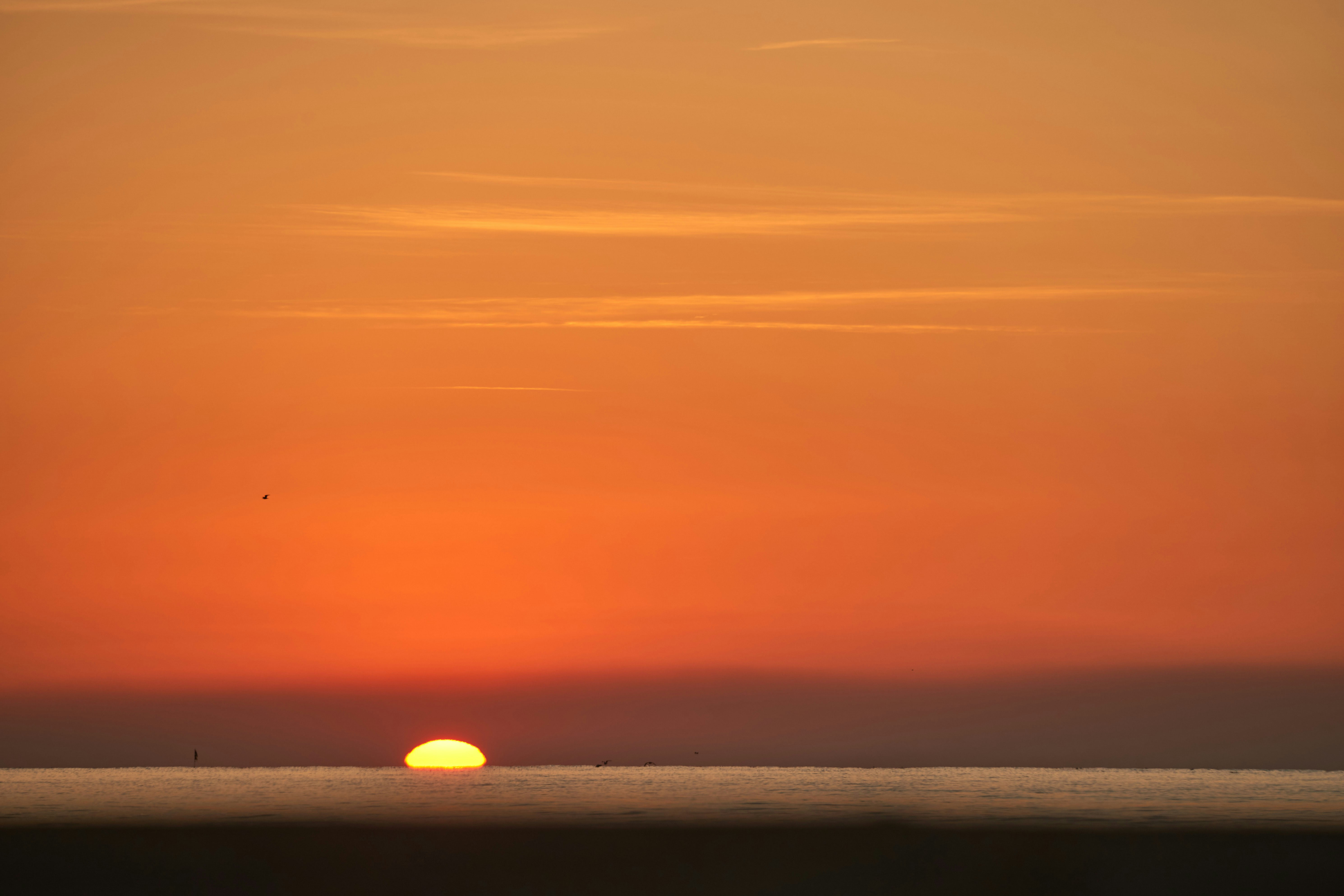 Photo by wolfgang_hasselmann