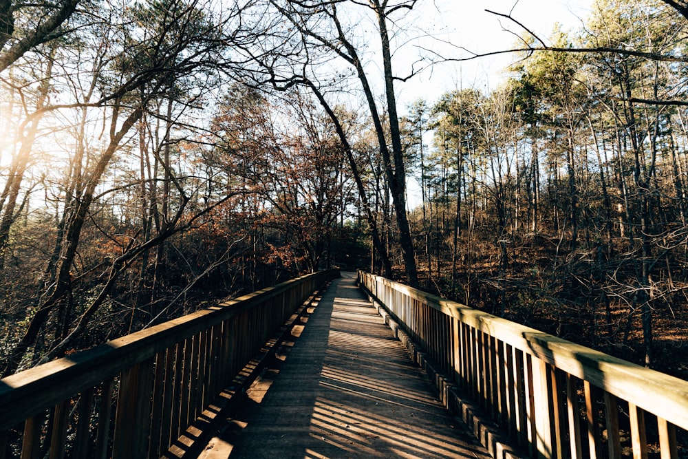 a wooden walkway in a wooded area with lots of trees