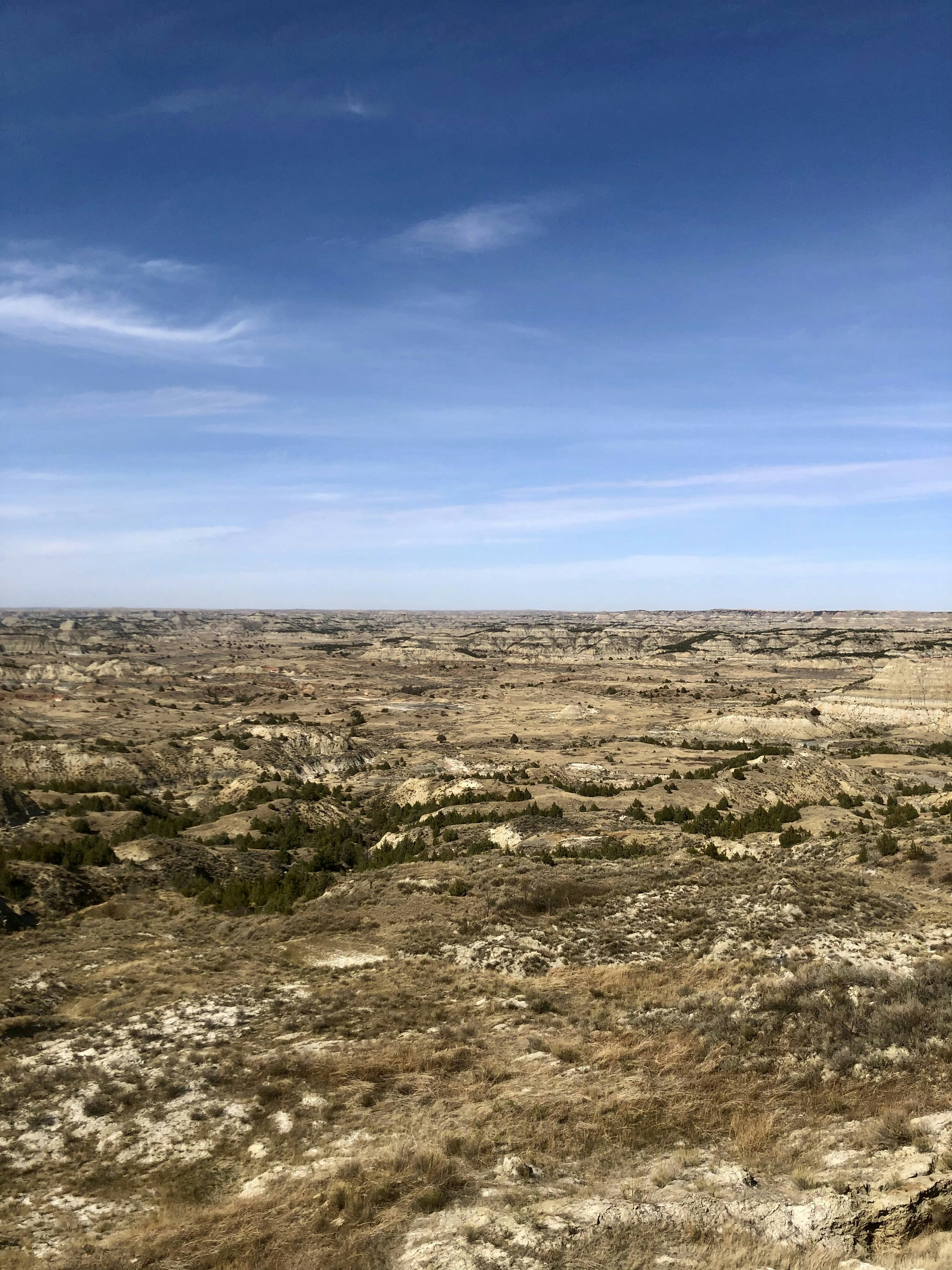 The Ancient Landscape of Prehistoric Texas (image credits: unsplash)