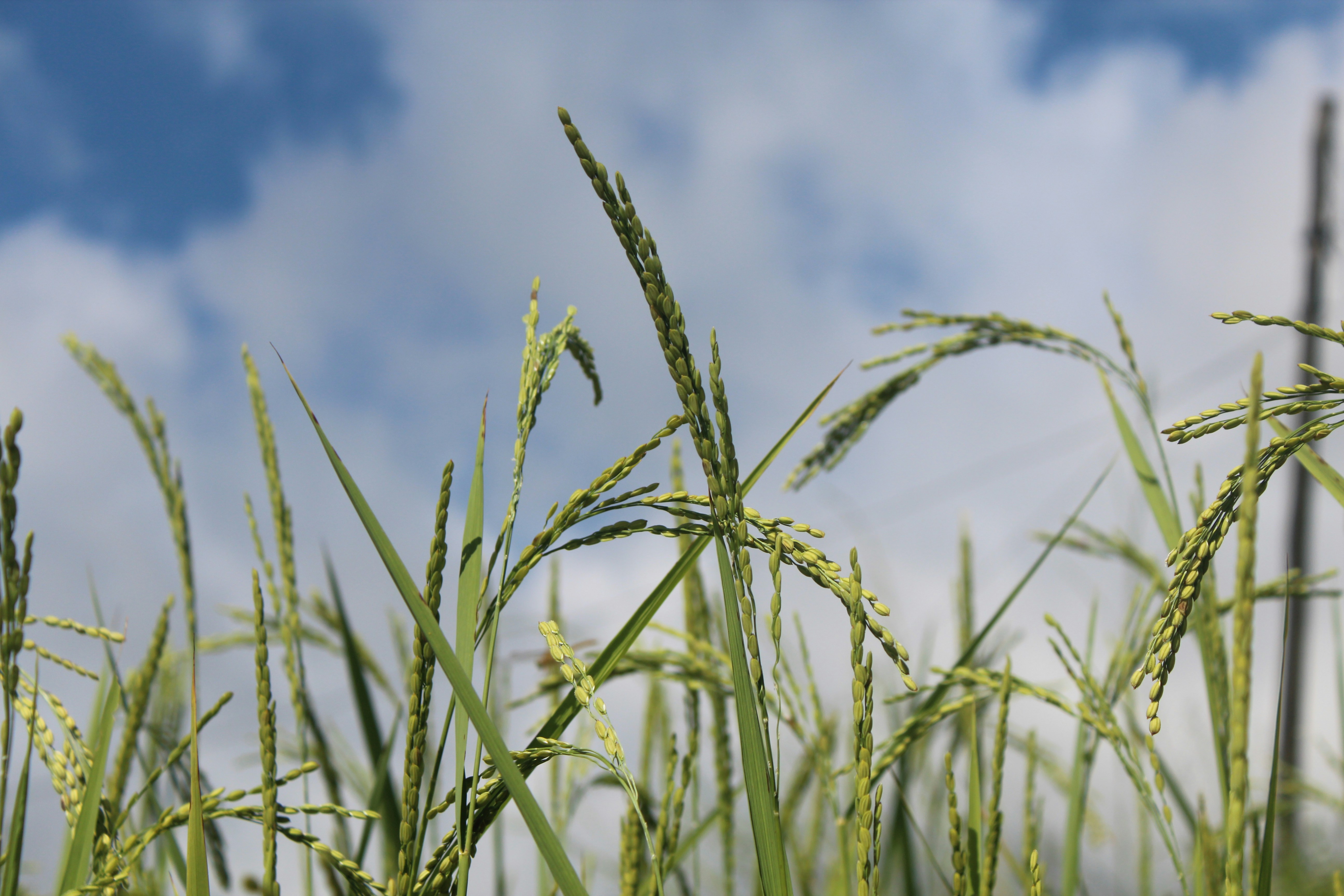 Photo by haggaidavid