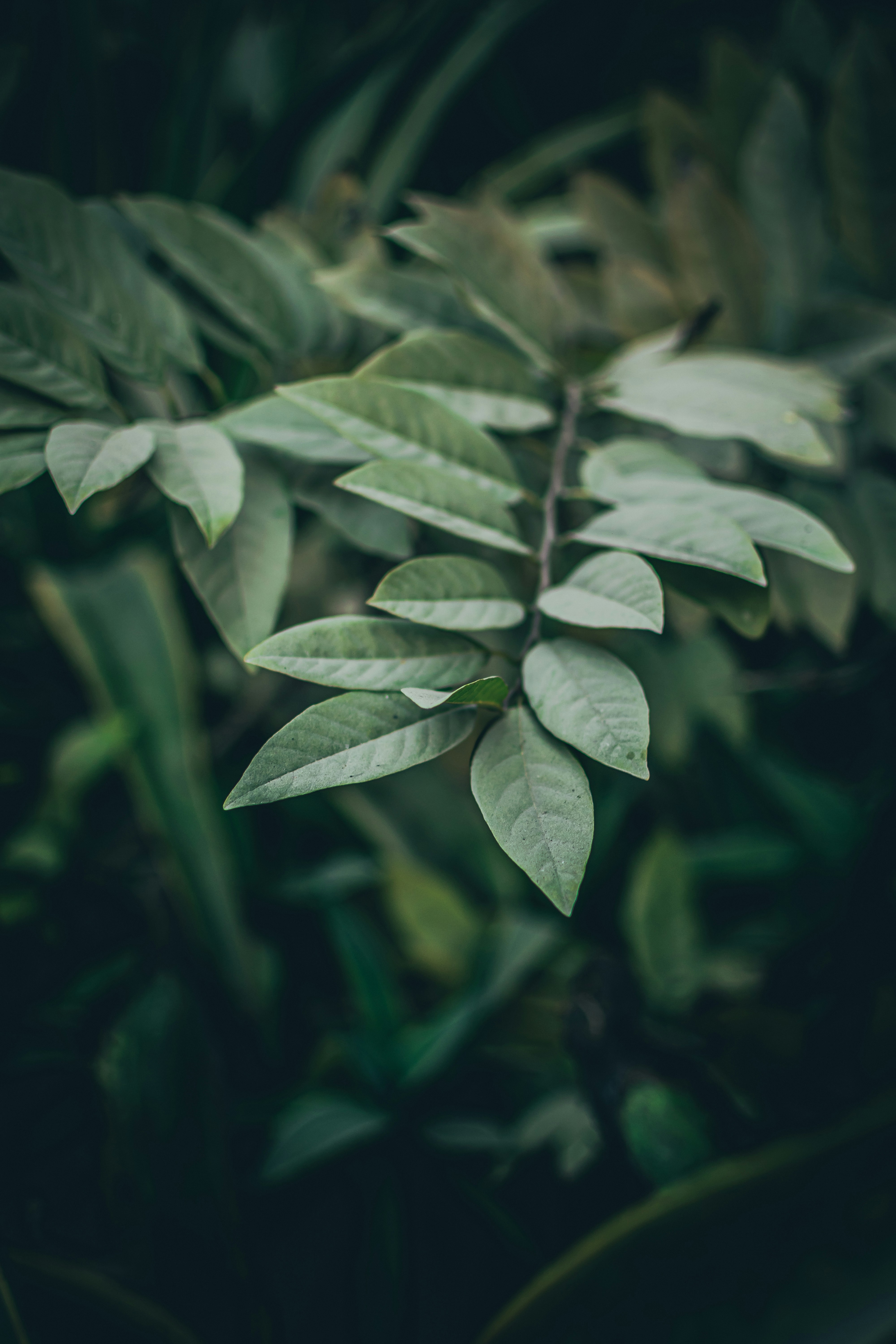 Photo by pramodtiwari