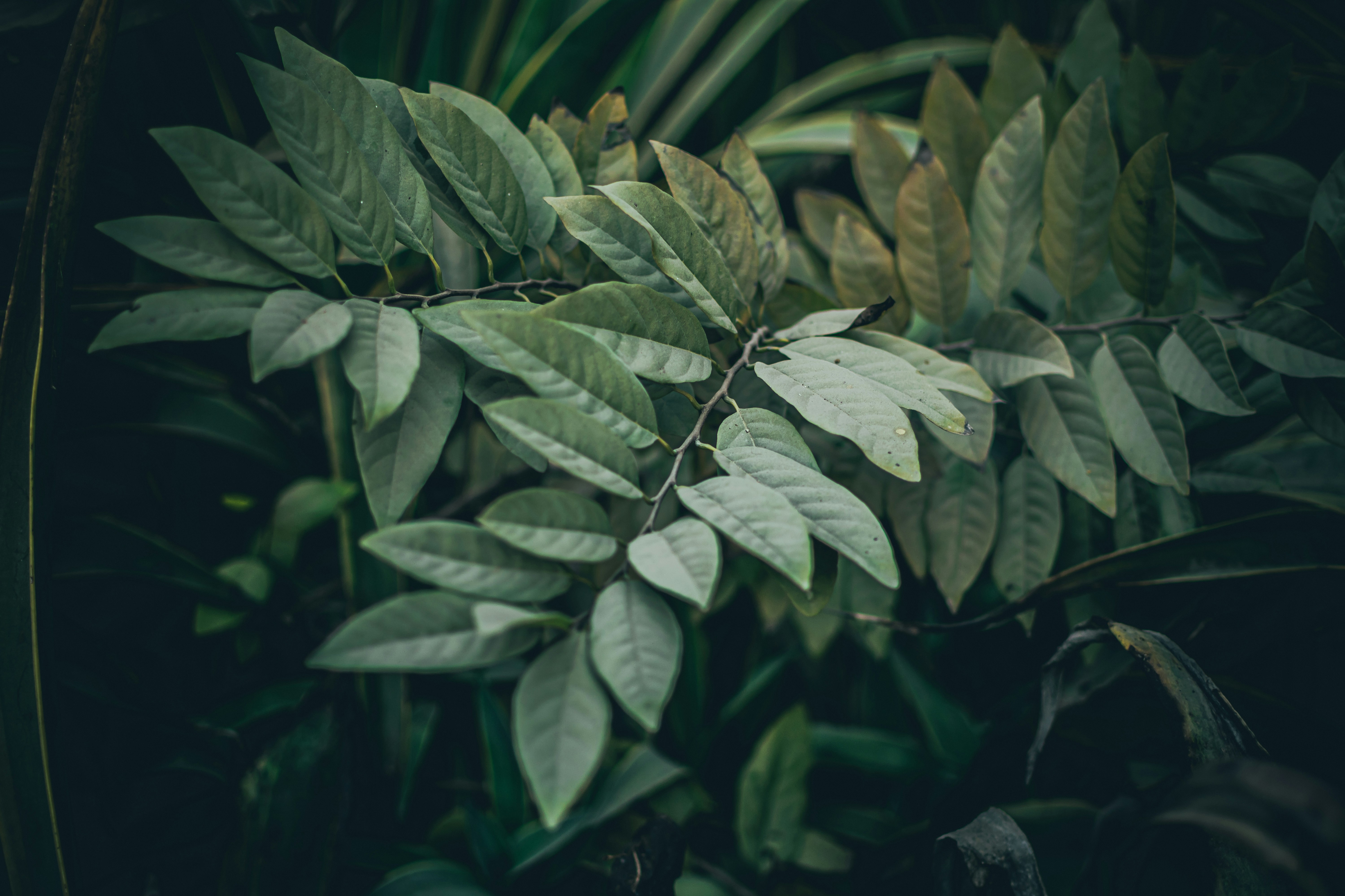 Photo by pramodtiwari