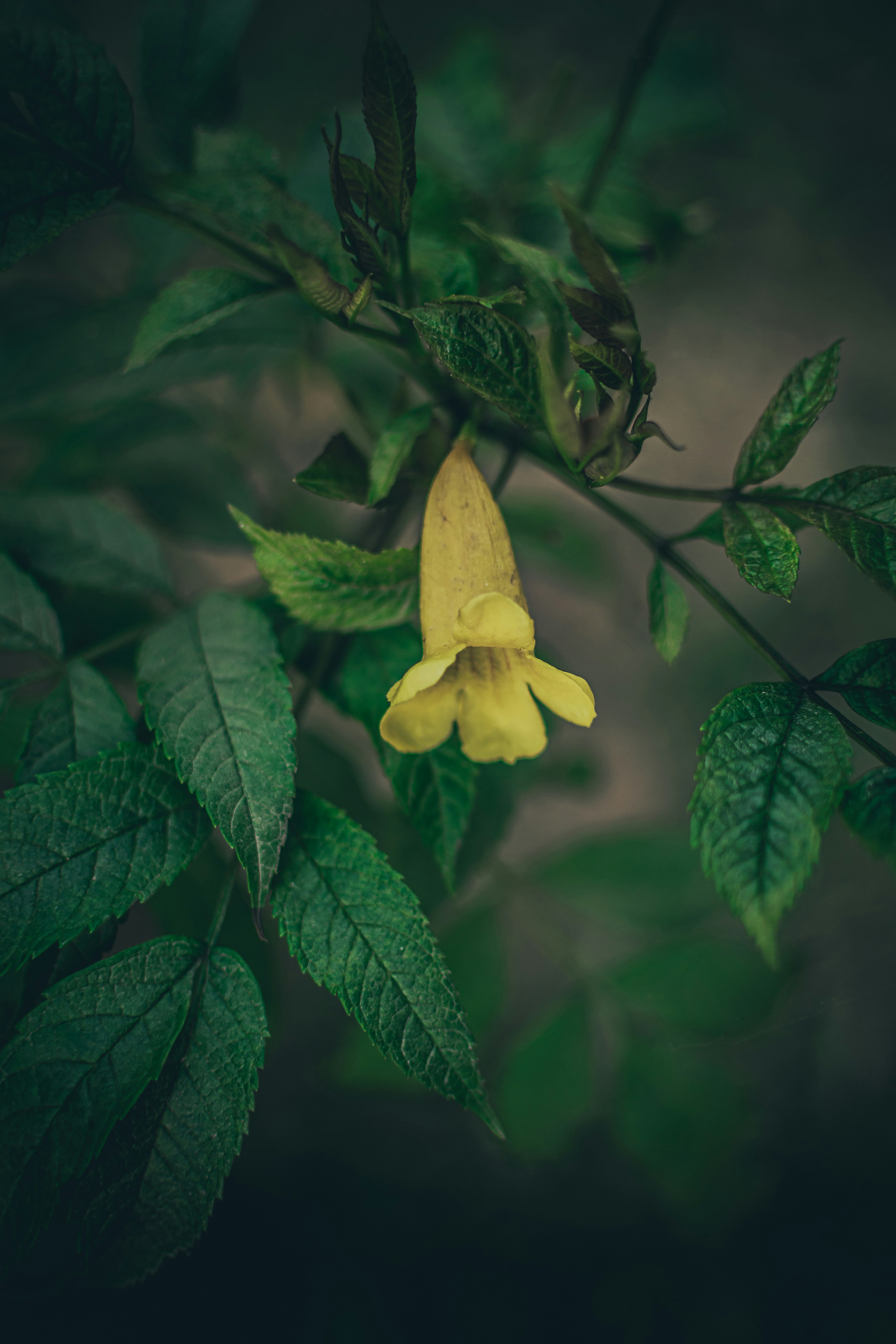 Photo by pramodtiwari