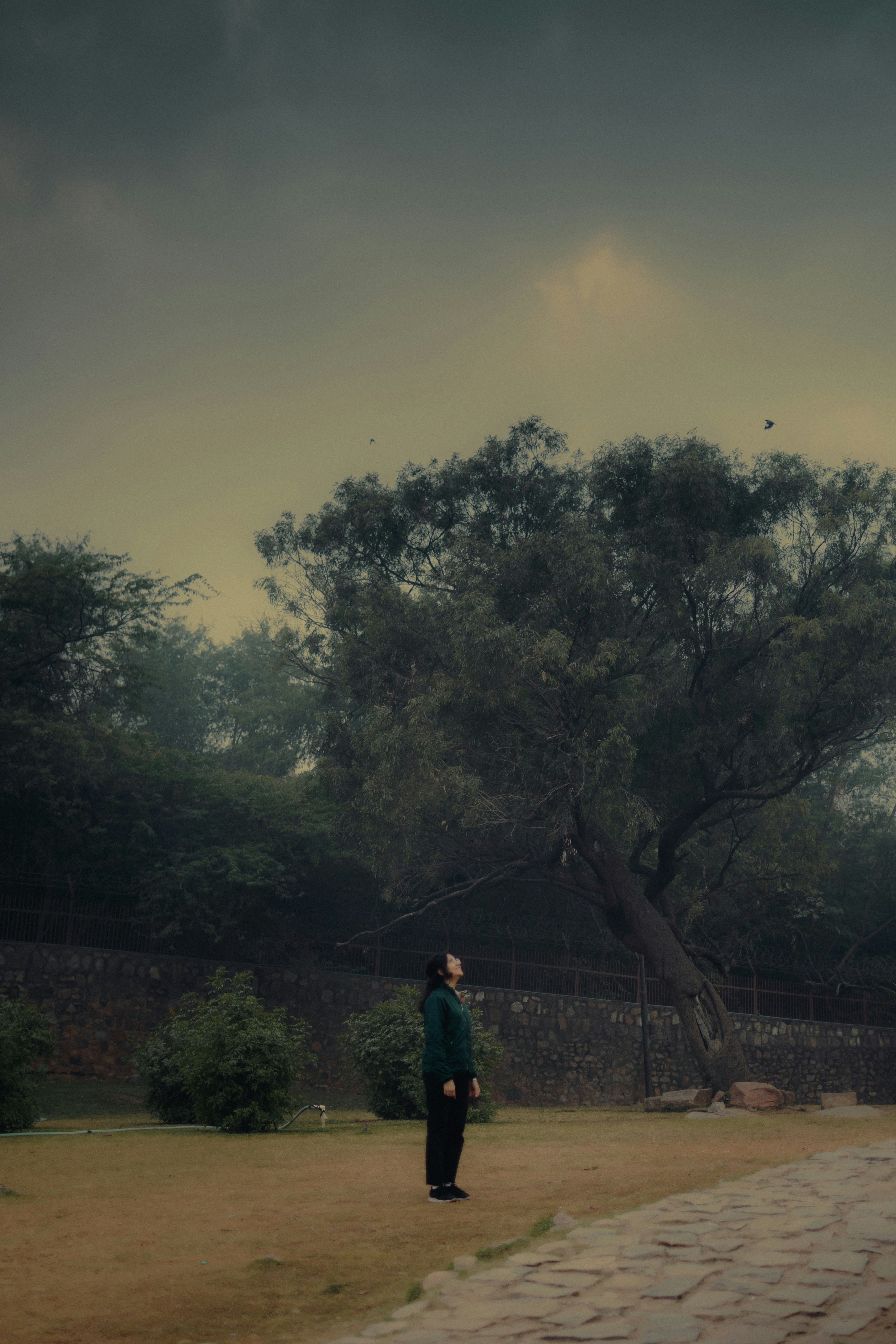 Photo by pramodtiwari