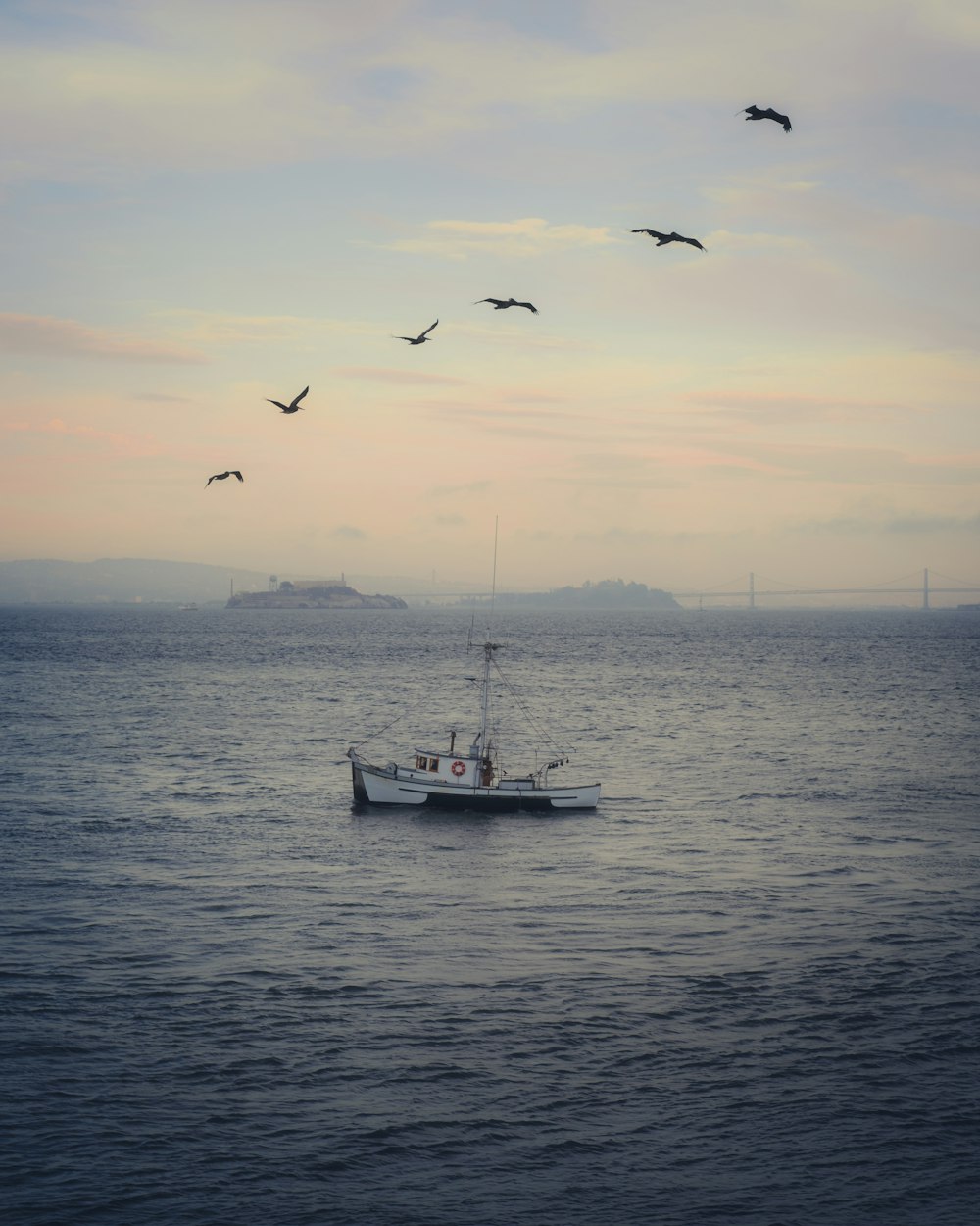 a boat in the water with birds flying around