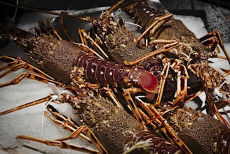Several lobsters are piled on a bed of ice, showcasing their detailed exoskeletons and long, spindly legs. The lobsters' textures and segmented bodies are highlighted under the lighting, which casts shadows across the ice.